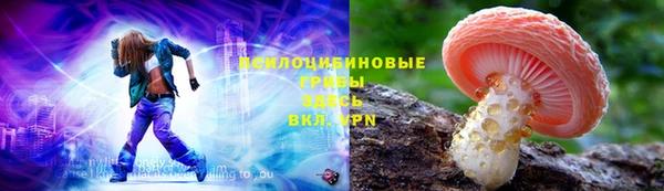 твердый Гусев