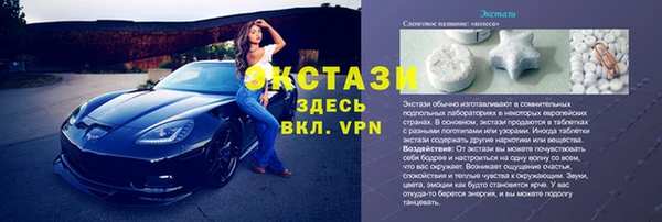 твердый Гусев