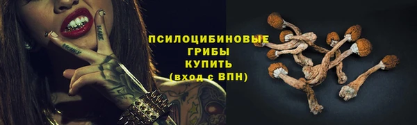 твердый Гусев