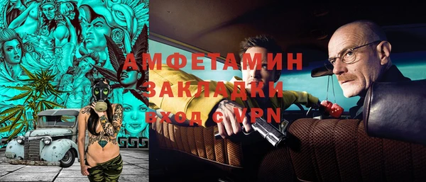 твердый Гусев