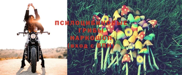 твердый Гусев