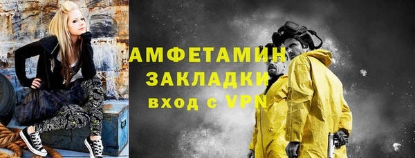 твердый Гусев