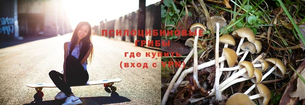 твердый Гусев