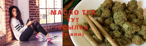 твердый Гусев