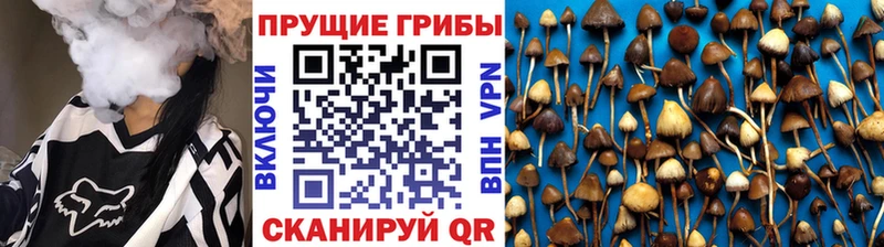 Псилоцибиновые грибы мухоморы  Купить  Вытегра 
