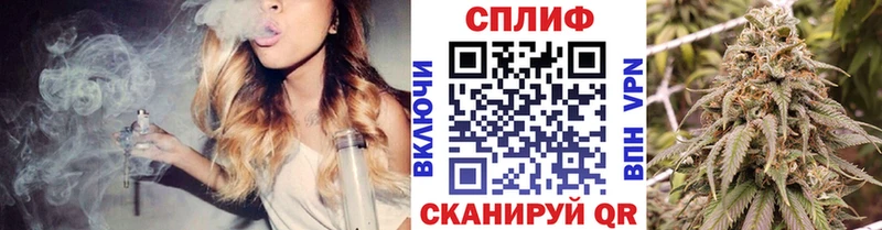Бошки марихуана конопля  Купить где  Вытегра 